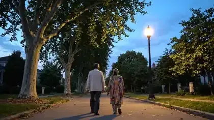 An old-fashioned street lamp switching on at dusk under elm trees on a quiet residential street